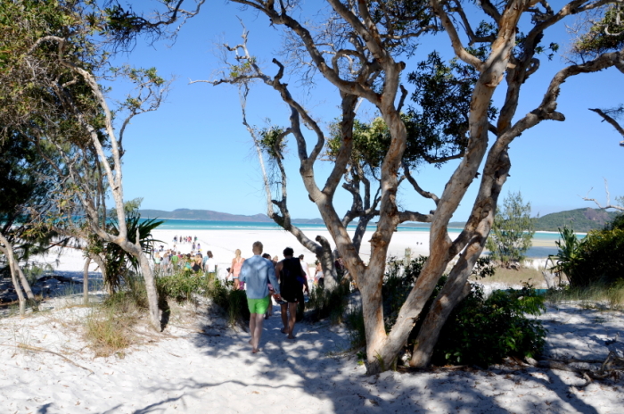 People walking to the beach on the Whitsunday Islands