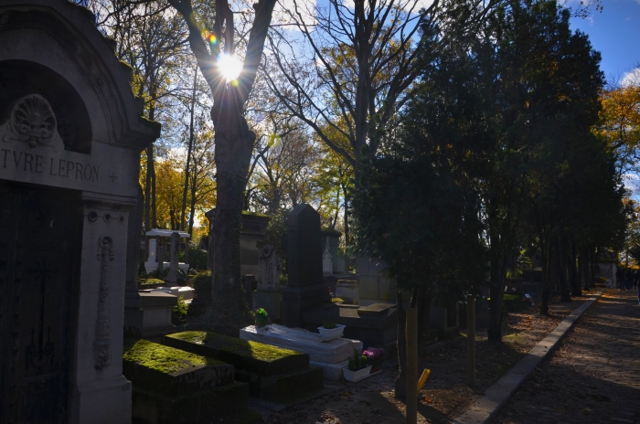 Trees at Pere Lachaise