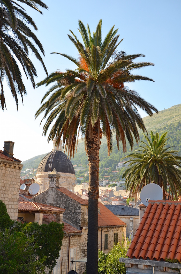 Walls_of_Dubrovnikpalms