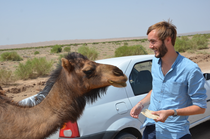 Anekdotique 2014 Travel Retrospective: In Iran with a Camel