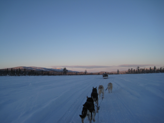 With huskies to the Northern Lights at Kiruna in Sweden