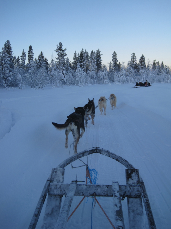 With huskies to see the Northern Lights at Kiruna in Sweden