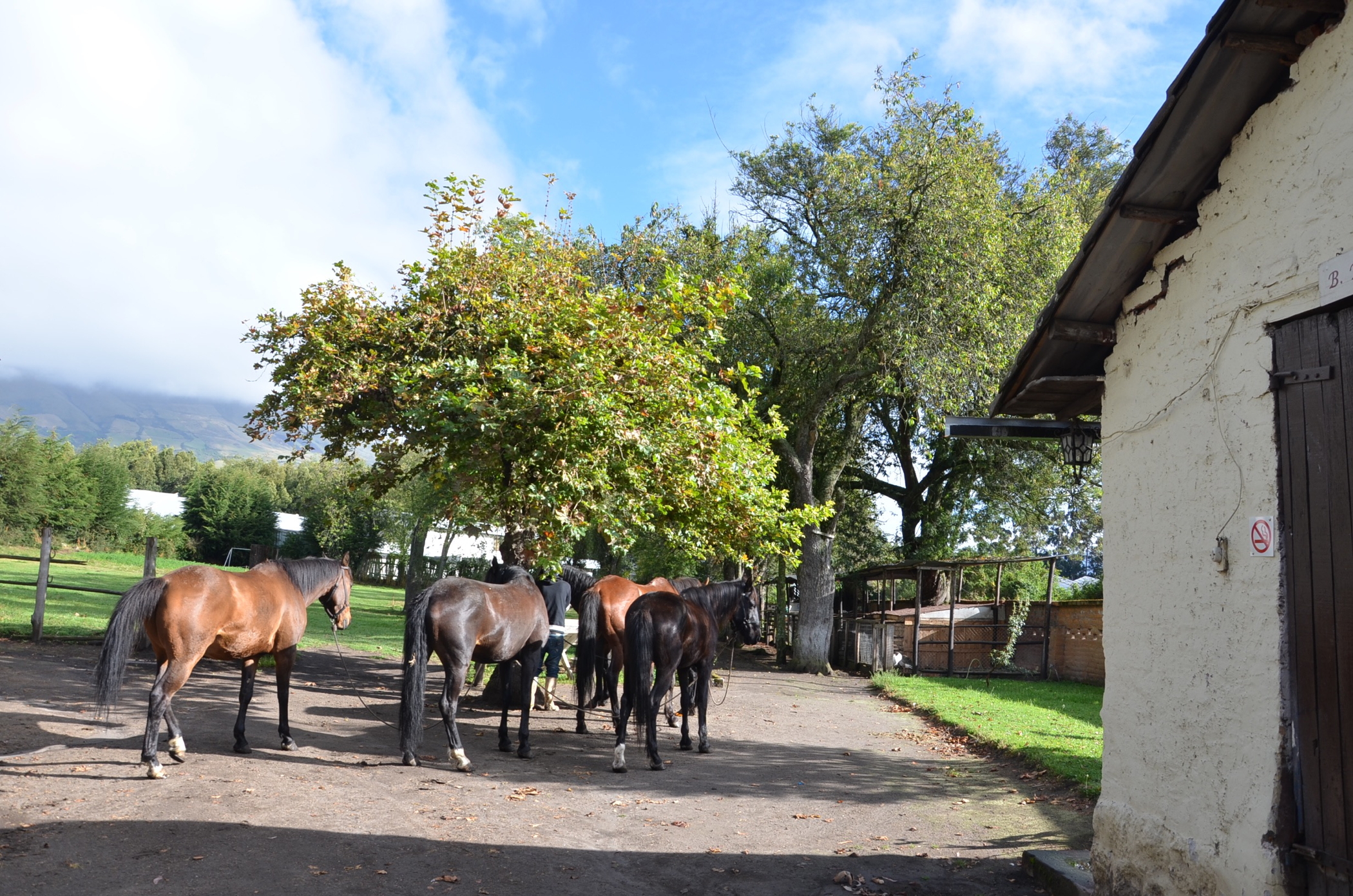 Hosteria_Papagayo_Hotel_Cotopaxi_Ecuador_yard