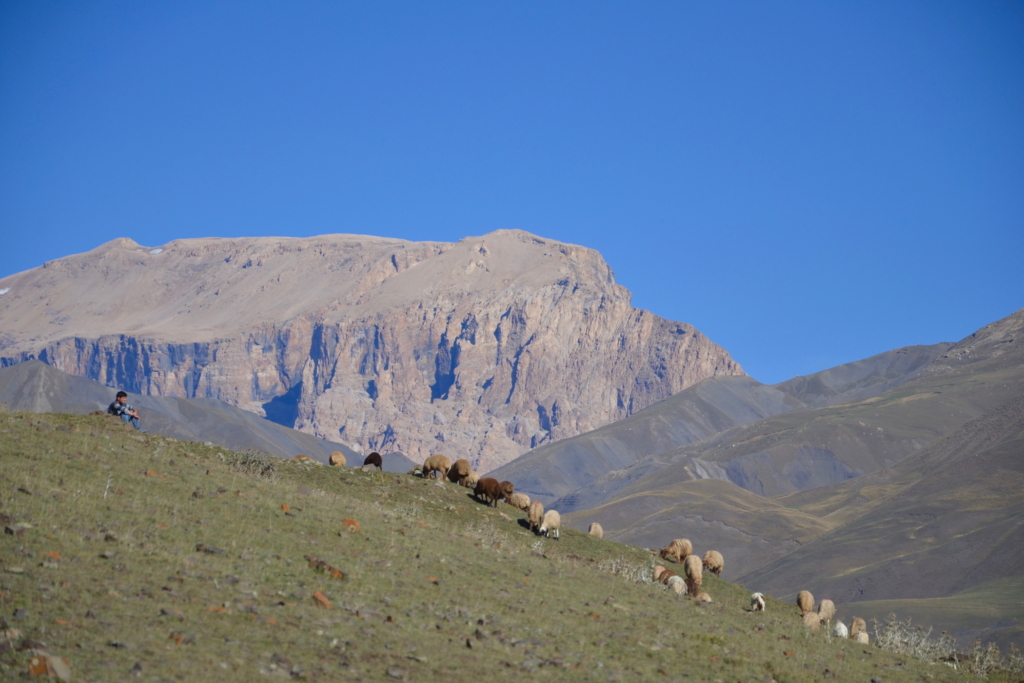 azerbaijan travel Xinaliq shephard