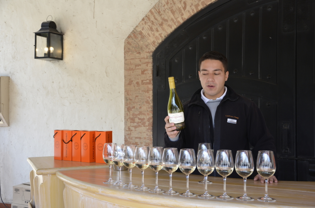 Sehenswürdigkeiten Chile und Wein Tasting bei Casillero del Diablo
